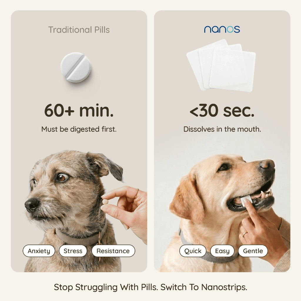 Traditional pills take 60+ minutes to digest; NanoMelts dissolve in the mouth in under 30 seconds