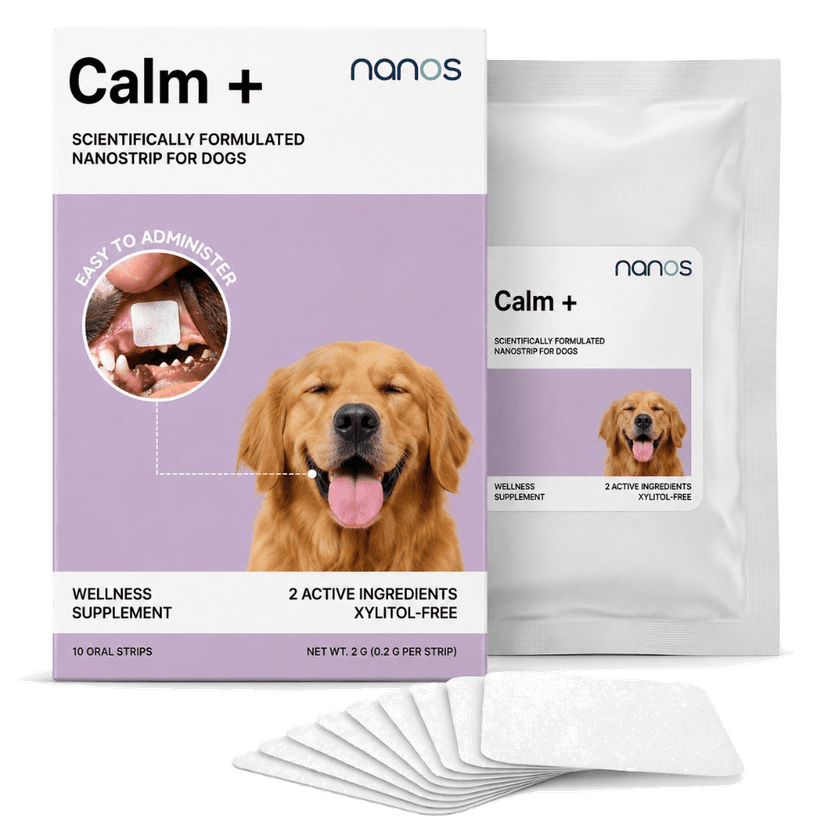 Calming Support